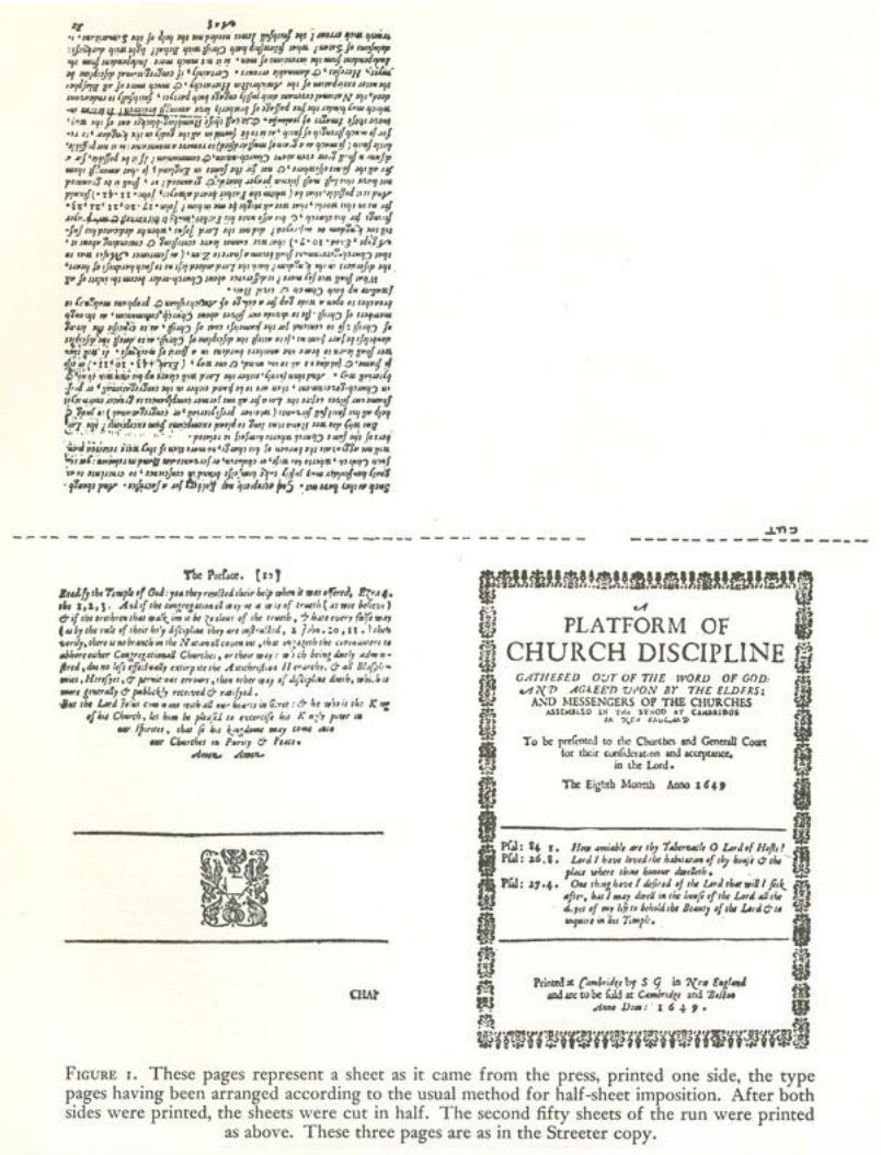 A Sheet As It Came From The Press