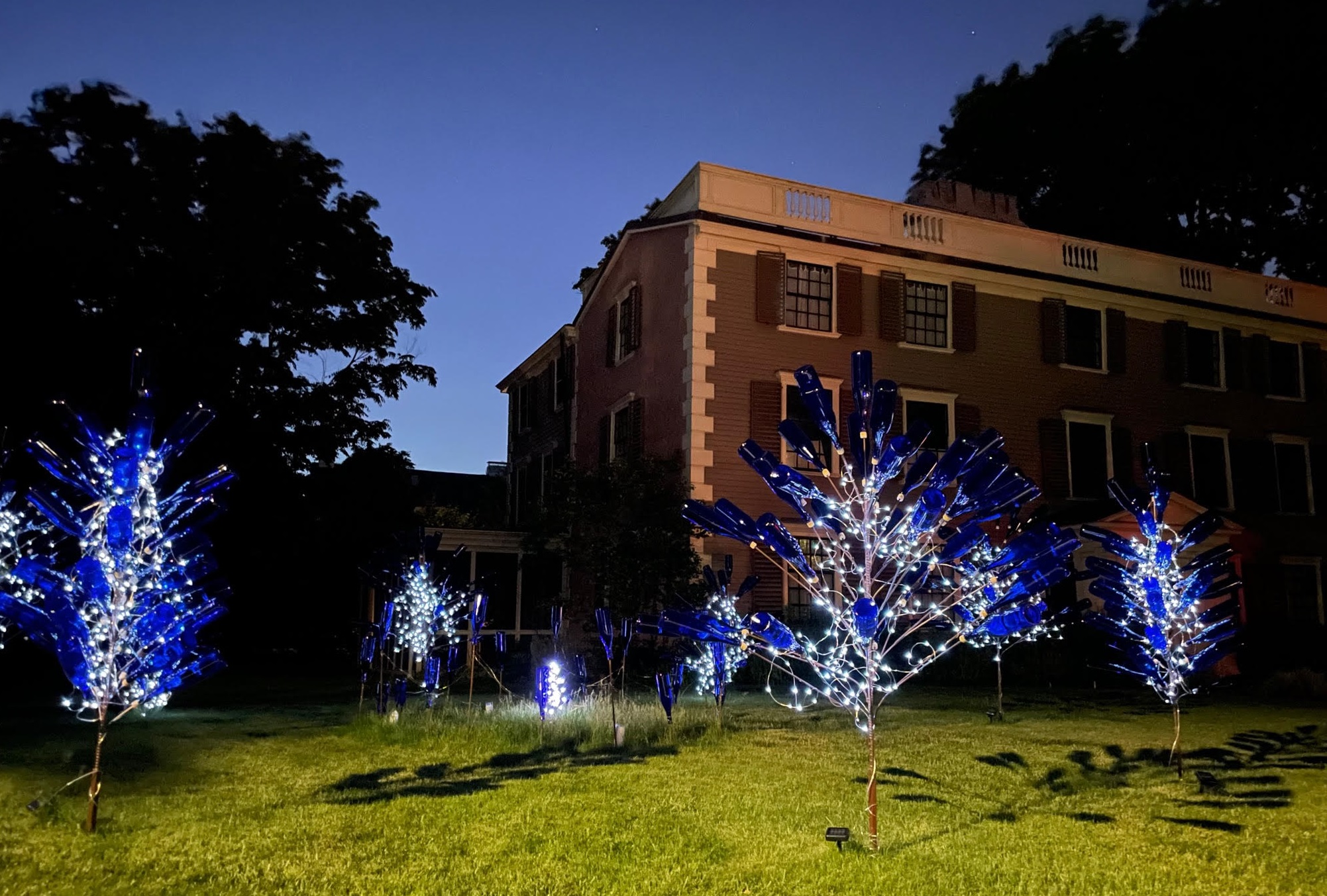 Lit up bottle tree grove with blue bottles against a twilight blue sky, with a building in the background
