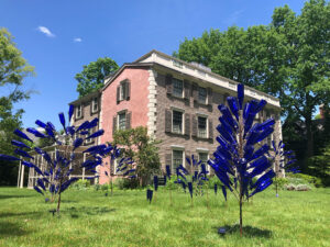 Several blue bottle trees on a green lawn in front of a three story building against a blue sky