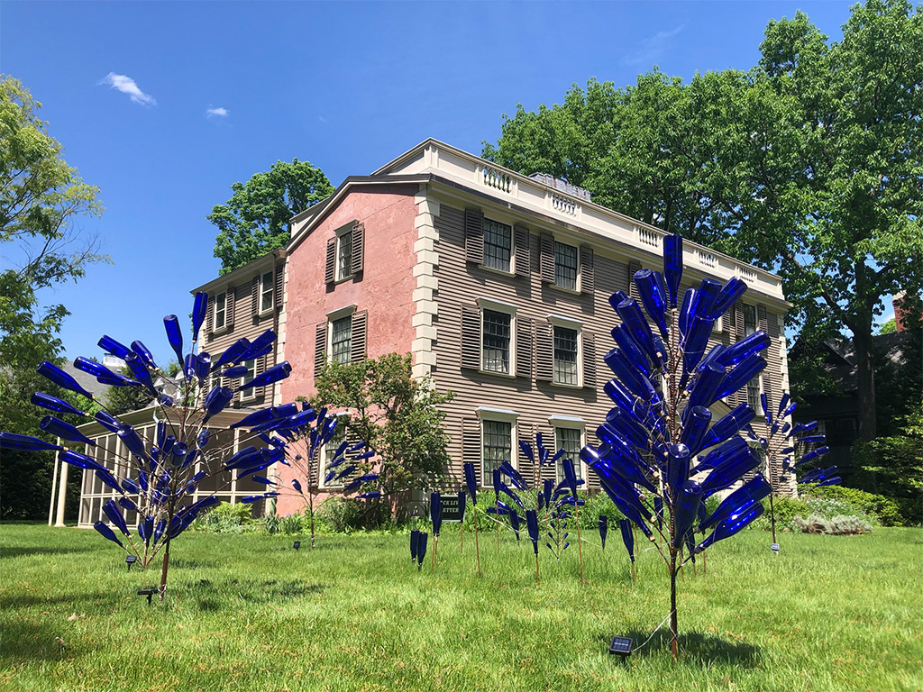 blue bottle trees on the lawn in front of three story house