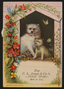 A vintage soap ad featuring two small dogs in a dog house surrounded by flowers and the text "Try C. L. Jones & Co's —TULIP SOAP— Best in Use."