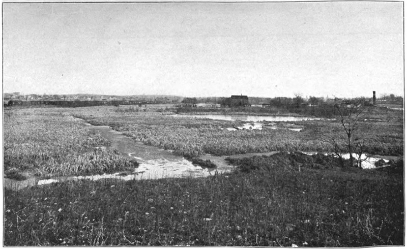 Native Americans thrived in the ‘Great Swamp,’ marshy headwaters that ...