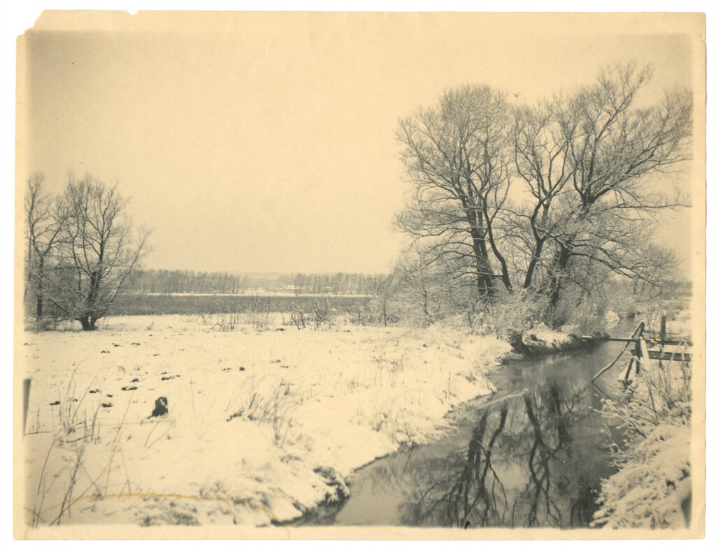 Glacialis, Fresh Pond ca. 1890