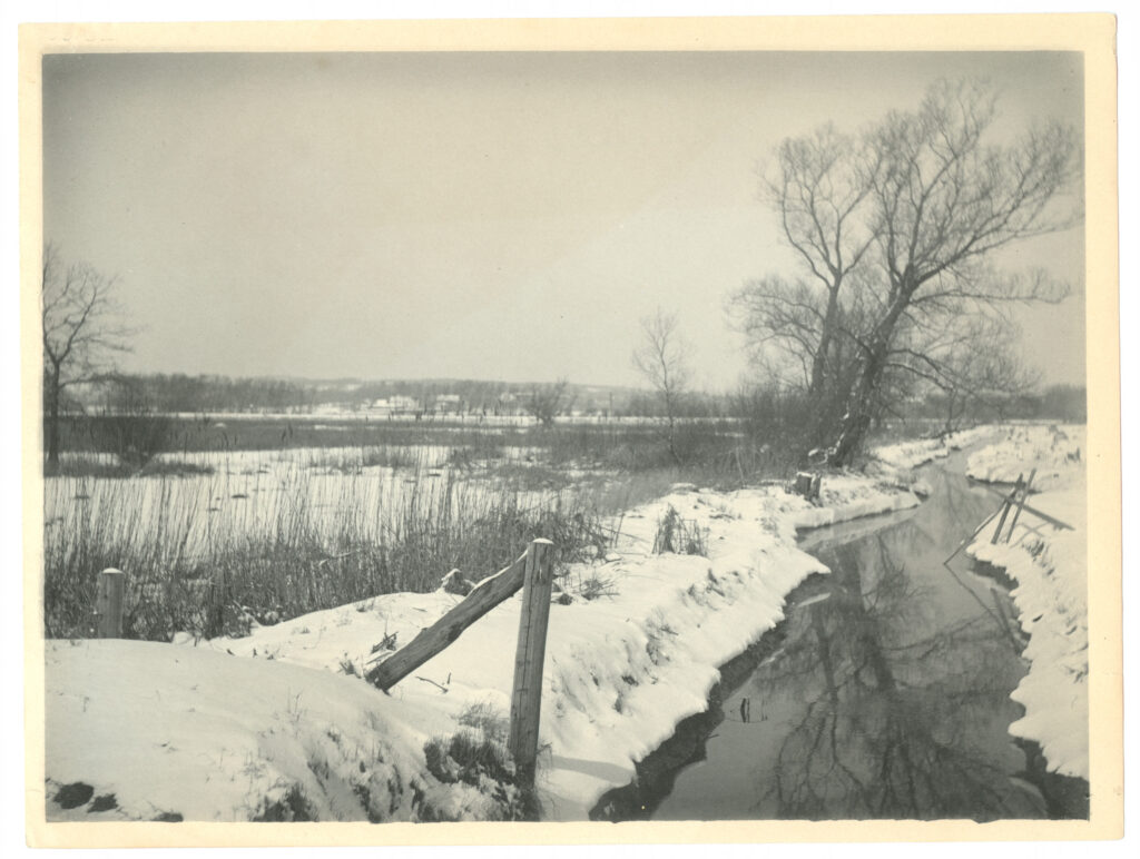 Glacialis, Fresh Pond ca. 1890