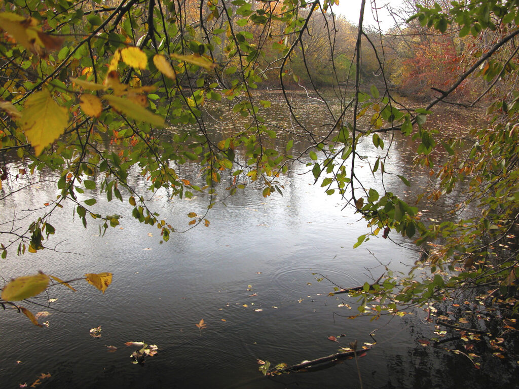 Watershed: An Excursion in Four Parts - History Cambridge