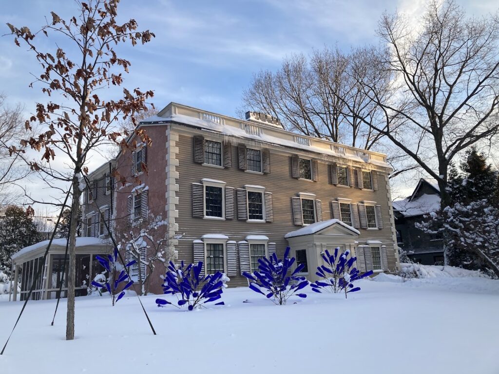 Bottle trees Feb 24, 2026