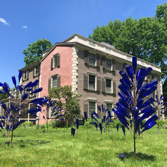 Several blue bottle trees on a green lawn in front of a three story building against a blue sky