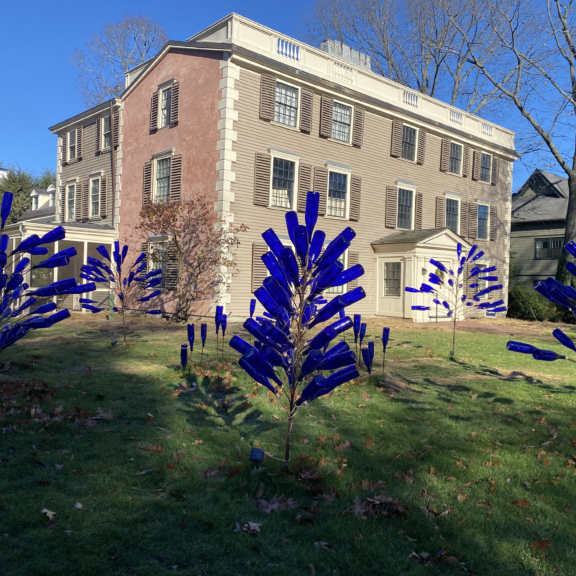 “Forgotten Souls of Tory Row” blue bottle tree art installation on the front lawn of the Hooper-Lee-Nichols House with autumn leaves