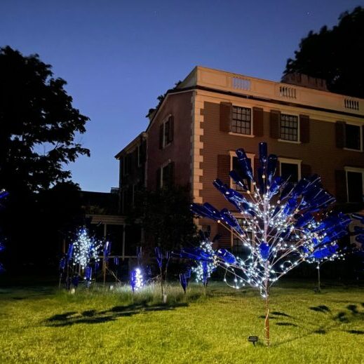 Lit up bottle tree grove with blue bottles against a twilight blue sky, with a building in the background